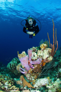 Diving with my 15 yr. old daughter in Bonaire at "Old Blue" by Richard Goluch 